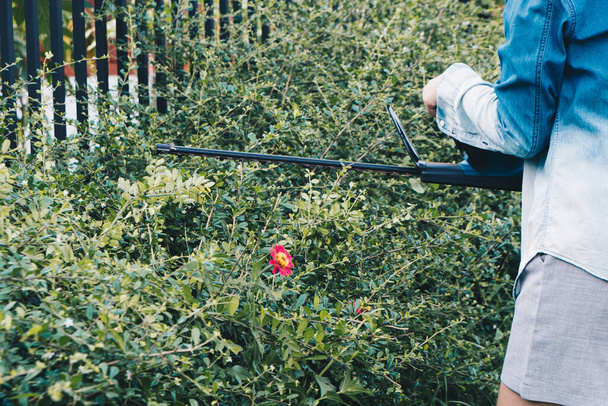Молода азіатка використовує електричний тример з рослиною дерева на паркані домашнього саду
 - Фото, зображення
