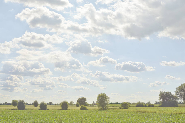 green field and blue sky - Foto, afbeelding