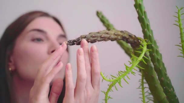 Młoda piękna kobieta martwi się patrząc na chorą roślinę kaktusa, która cierpi na pasożyty i wirusy i dotyka jej rękami. Śmierć roślin w pomieszczeniach. Koncepcja ogrodnictwa domowego - Materiał filmowy, wideo