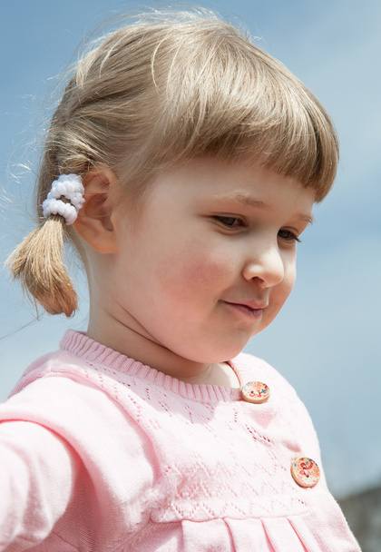 Portrait of a pretty little girl  - Photo, image