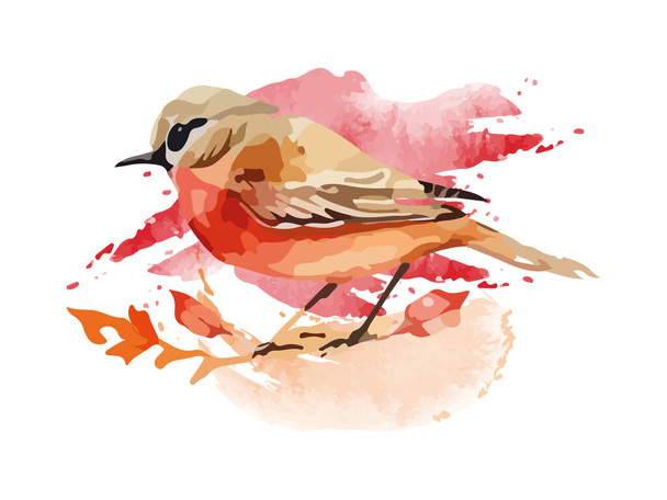 Watercolor bird and sparrow vector illustration Realistic hand drawn Painting, On branche, White isolated background. - Vector, Image