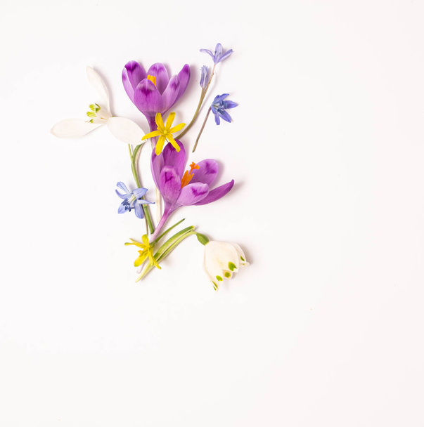  flower layout from spring flowers on a white background. Top view, flat lay and copy space - Foto, imagen