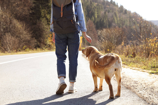 Woman and adorable dog walking along road, back view. Traveling with pet - Foto, Imagem
