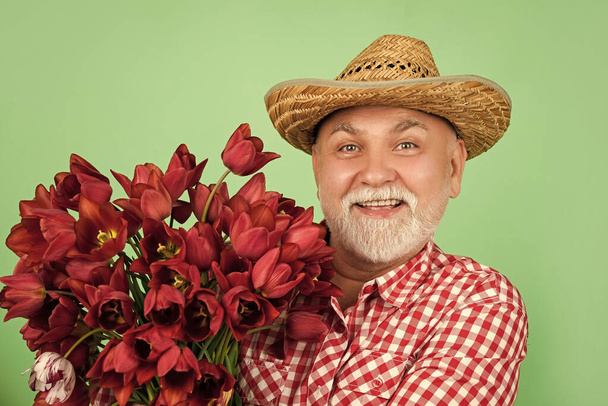 happy old retired man in hat hold spring tulip flowers on green background. - Fotoğraf, Görsel