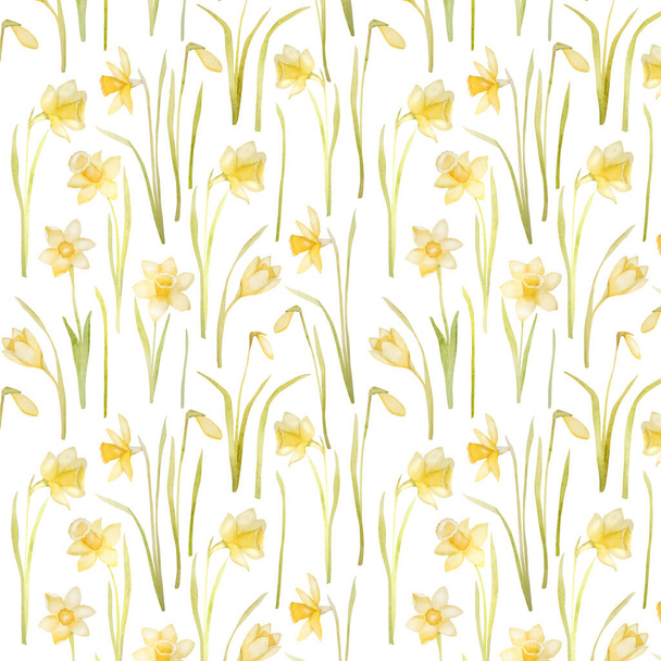 Άνοιξη λουλούδια νάρκισσος υδατογραφία αδιάλειπτη μοτίβο. Κίτρινο άνθος πασχαλιάς φυτό daffodil aquarelle ζωγραφική για το σχεδιασμό και τη διακόσμηση - Φωτογραφία, εικόνα