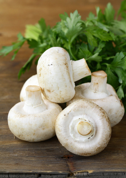 Fresh raw mushrooms champignons with herbs parsley - Photo, Image