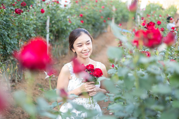 Молодая азиатка в белом платье позирует с розой в розовом саду, Чиангмай Таиланд - Фото, изображение