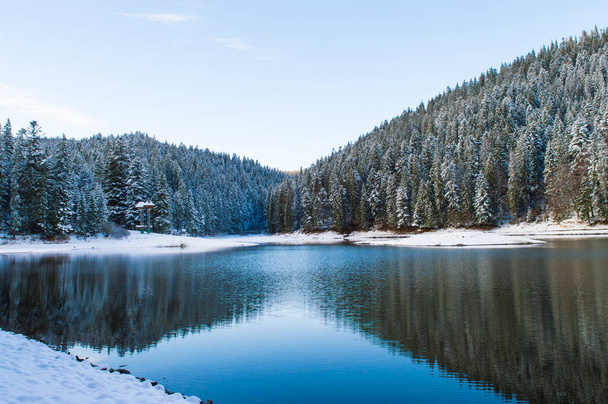 erdő tó az ég ellen - Fotó, kép