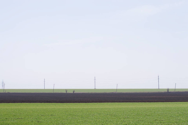 green field against the sky - Фото, зображення