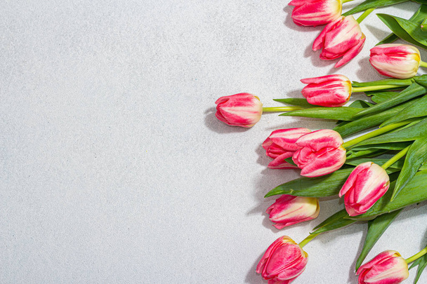 Fresh pink tulips on light stone concrete background. Festive concept for Mother's Day or Valentines Day. Greeting card, Easter flat lay, Anniversary or Birthday, top view - Photo, Image