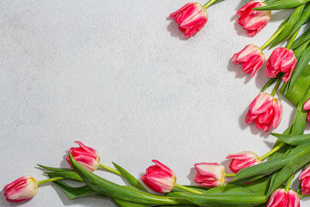 Fresh pink tulips on light stone concrete background. Festive concept for Mother's Day or Valentines Day. Greeting card, Easter flat lay, Anniversary or Birthday, top view - Valokuva, kuva