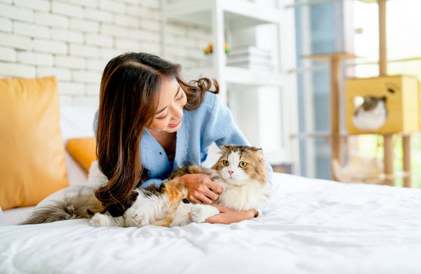 Красивая азиатка сидит на кровати и обнимает свою кошку в спальне с дневным светом и другой кошкой остаться на заднем плане. - Фото, изображение