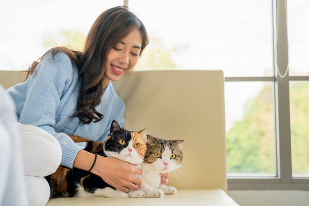 Boční pohled na dvě krásné kočky jsou zábavné hraje hezká asijská žena sedět na pohovce s denním světlem v blízkosti postele a ona vypadá šťastně tím, že se usmívá. - Fotografie, Obrázek