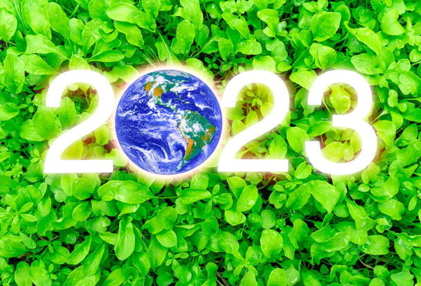Earth on the background of spinach leaves has a green texture, the environment. Earth Day Concept. Elements of this image are furnished by NASA - Fotó, kép