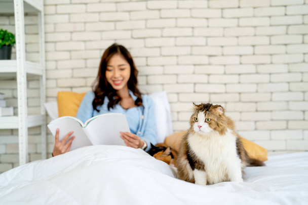 Lovely fluffy cat stand on bed near owner who reading some books and pillow also it look relax stay in bedroom with owner. - Fotoğraf, Görsel
