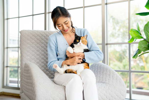 Азиатка сидит на диване и держит кота с женщиной весело с взглядом на животе кошки. - Фото, изображение