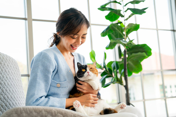 Aziatisch vrouw zitten op bank in woonkamer en praten met haar kat en kat kijken naar de vrouw met liefde en zorg over eigenaar in concept van goede relatie en hechting tussen eigenaar en huisdier. - Foto, afbeelding