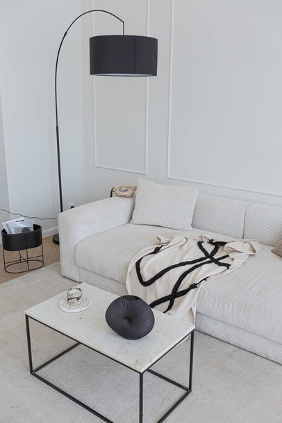 super white simple clean and stylish interior with modern furniture in nude color and contrasting black elements. luxury design of a large bright room living room - Fotografie, Obrázek