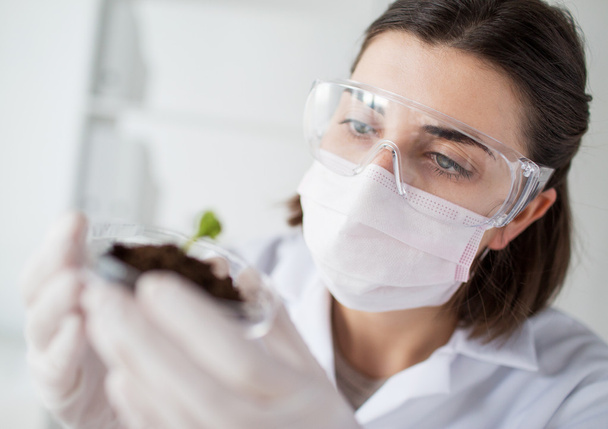 close up of scientist with plant and soil in lab - 写真・画像