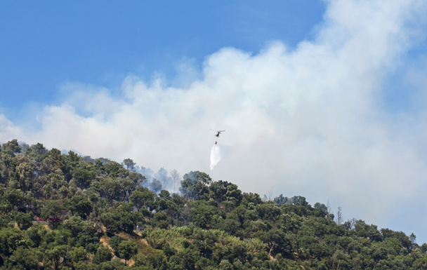 Hélicoptère de lutte contre les incendies en service
 - Photo, image