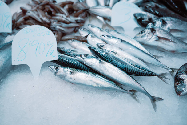 Sklep rybny na typowo starym rynku w Hiszpanii Seafood Store - Zdjęcie, obraz