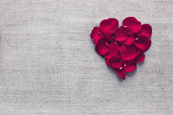 Red heart of rose petals isolated . Mothers day background. - Foto, afbeelding