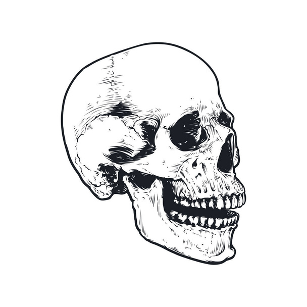 Skull and bones vector design - Διάνυσμα, εικόνα