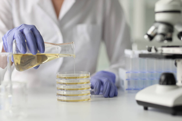 Cientista em luvas de borracha derrama líquido amarelo do frasco para a placa de Petri sentado à mesa. Mulher prepara substância para exame com microscópio - Foto, Imagem