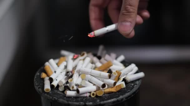 A mans hand presses a cigarette butt. A large number of cigarettes. Harmful habits for health - Materiaali, video