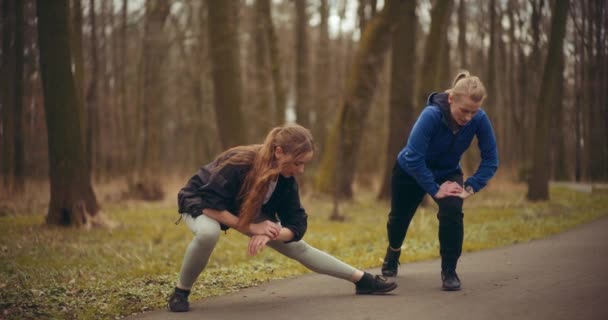 Mulheres jogging e exercício em um parque é uma maravilhosa exibição de saúde e fitness.  - Filmagem, Vídeo