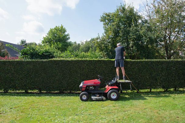 A gardener or worker uses stands to cut petrol hedge trimmers while standing on a tractor mower instead of a ladder, high quality photo. High quality photo - Фото, изображение