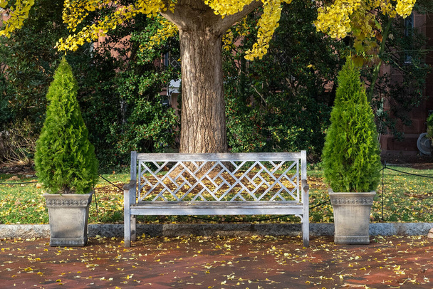 Chairs on National Mall with fall trees. Washington D.C, United States. - Photo, Image