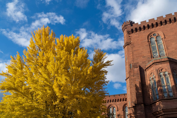 Вашингтон, Д. С. Соединенные Штаты. 30 ноября 2022 года: Смитсоновский институт (Смитсоновский замок) и осенние деревья. - Фото, изображение