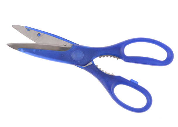 Blue itchen scissors - Photo, Image