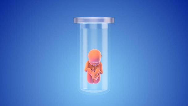 Koeputki vauva koeputkihedelmöitys - Valokuva, kuva