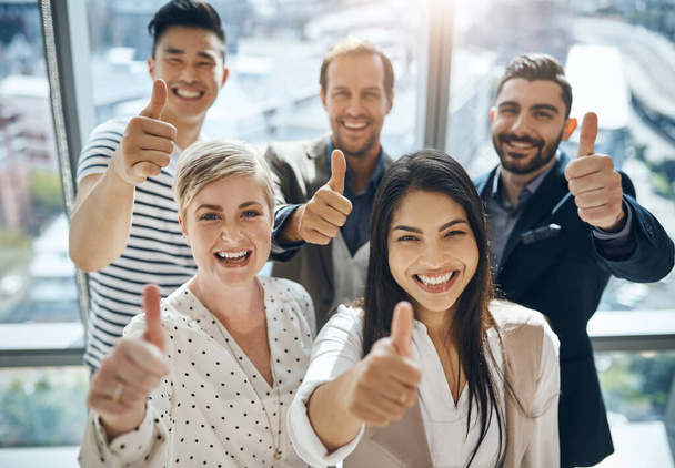Positive to make things work. Portrait of a group of confident young businesspeople standing together while showing thumbs up inside of the office during the day - 写真・画像