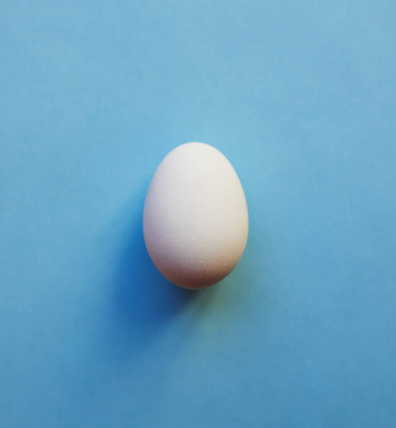 Mavi erkekler içindir. Merkeze yerleştirilmiş beyaz bir yumurtanın stüdyo görüntüsü mavi arka planda. - Fotoğraf, Görsel