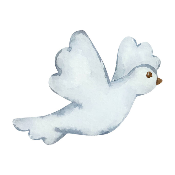 Watercolor dove for easter design invitations and cards - Photo, image