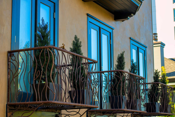Řady černých dekorativních kovových balkónů se třemi viditelnými okny a keři s vysokými stonky na dvorku čtvrti. Béžová nebo krémová barva dům exteriér cement štuk ve městě. - Fotografie, Obrázek