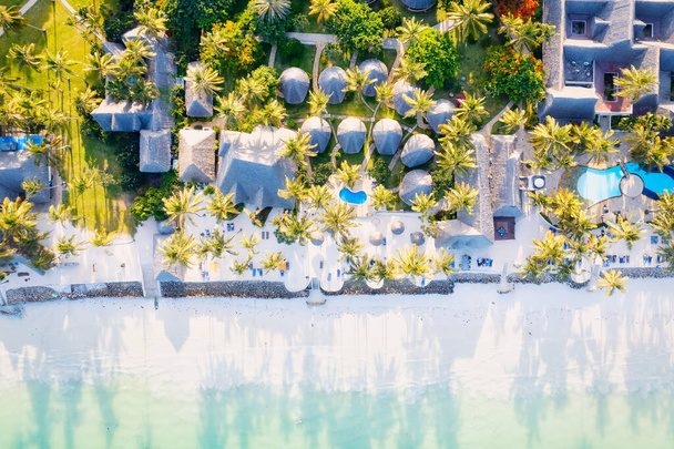 Le paysage tropical de l'île de Zanzibar est rempli de couleurs vives, de flore exotique et d'une faune unique. - Photo, image