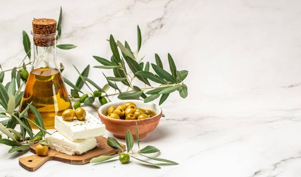 Оливковое масло и оливковое дерево. на светлом фоне. место для текста, вид сверху, - Фото, изображение