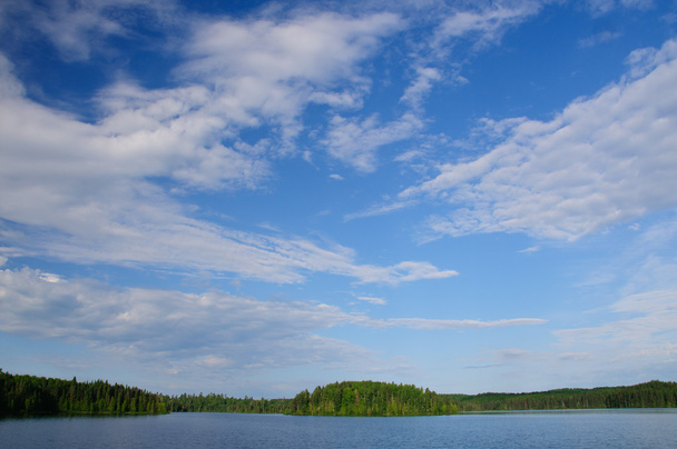 Korkeat pilvet pohjoisessa metsässä
 - Valokuva, kuva