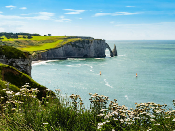 Dreamlike view of Etretat coastline, green fields and vertical chalk cliffs with characteristic arch and pinnacle, Normandy, France - Foto, Bild