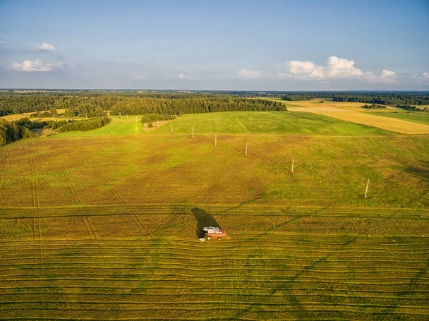 Harvesting Wheat Field in Rural Area. Lithuania - Foto, imagen
