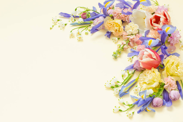 beautiful spring flowers on pastel background - Фото, зображення