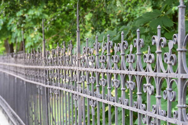 Старый забор из кованого железа, с парком сзади - Фото, изображение