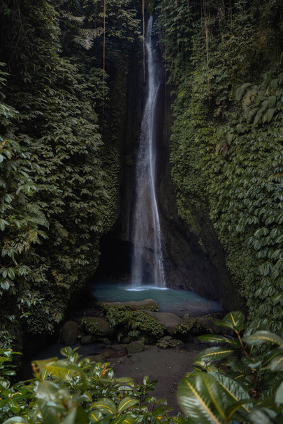 beautiful waterfall in the forest - Fotó, kép