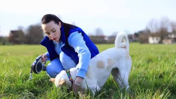 la ragazza in costume azzurro rimprovera un cane bianco su cane grass.disobedient verde. alta qualità 4k filmato ragazza mette su un collare da vicino - Filmati, video
