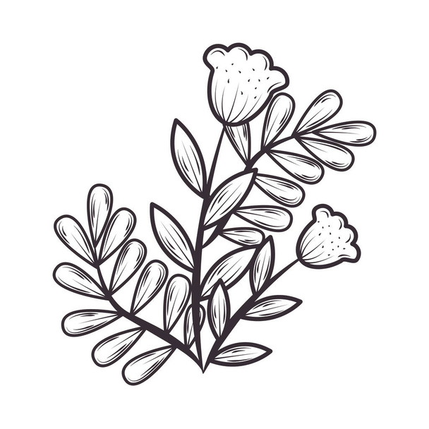leaves and flowers nature and botanical icon isolated - Vector, afbeelding