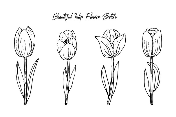 aesthetic handrawn spring tulip flowers sketch collection - Vektor, kép